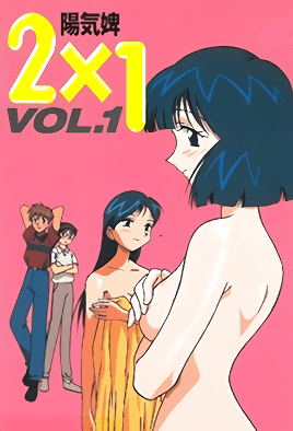 2x1 cover